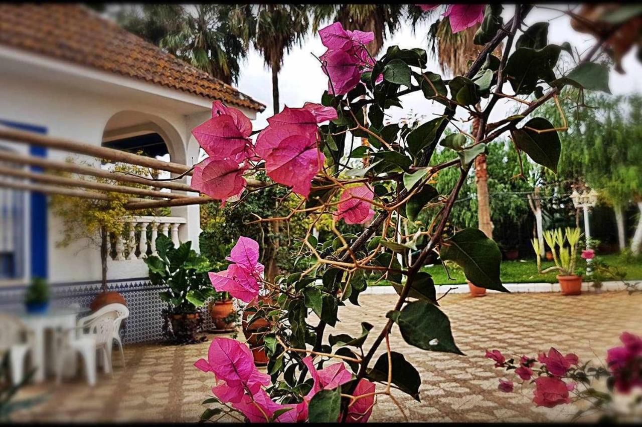 Casa Rural Finca Real De Niebla Exterior photo